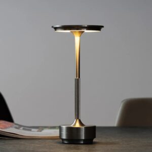 AuroBeam Titan Slim Cordless LED Pedestal Lamp